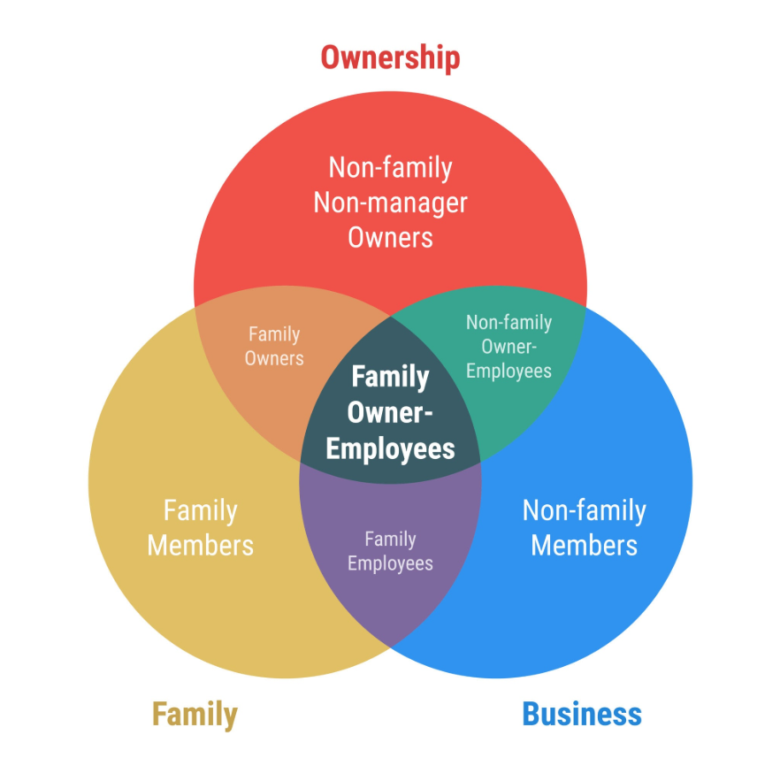 The three-circle model: ownership, family and business, and their areas of overlap.